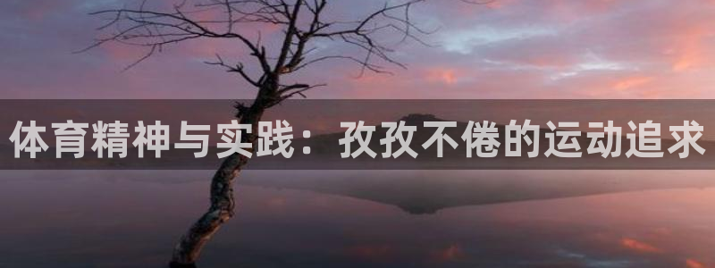 中欧体育全站app：体育精神与实践：孜孜不倦的运动追求