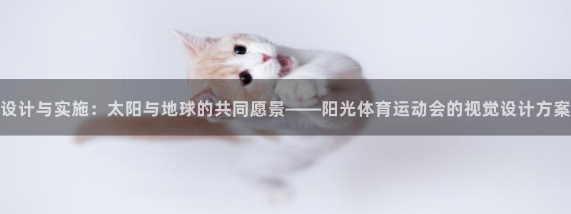 中欧体育zoty下载：设计与实施：太阳与地球的共同愿景——阳光体育运动会的视觉设计方案