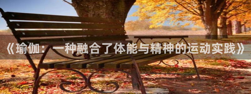 中欧体育官网入口：《瑜伽：一种融合了体能与精神的运动实践》