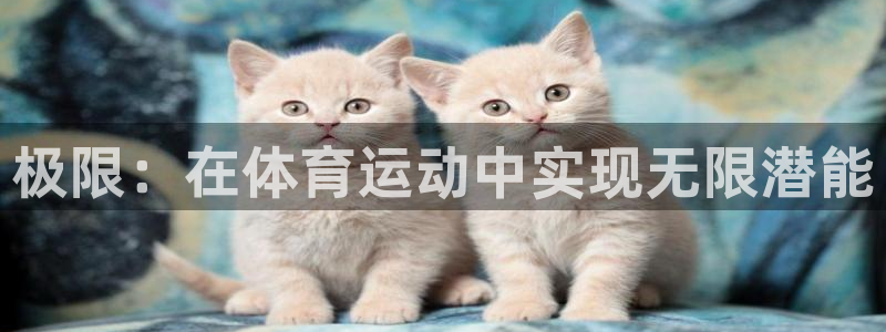中欧体育网站：极限：在体育运动中实现无限潜能